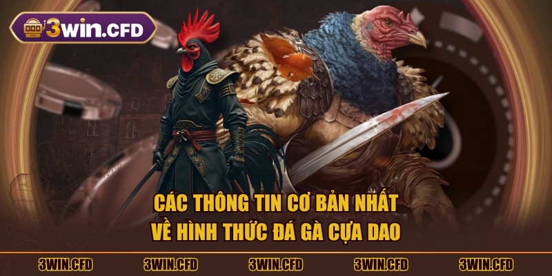 Các thông tin cơ bản nhất về hình thức đá gà cựa dao