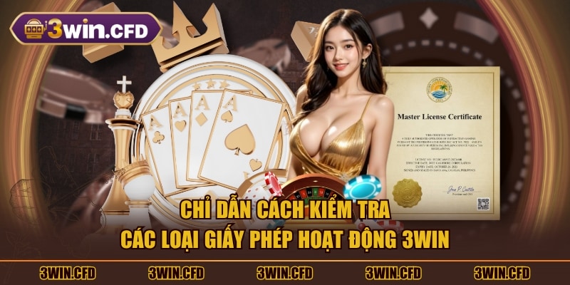 Chỉ dẫn cách kiểm tra các loại giấy phép hoạt động 3WIN