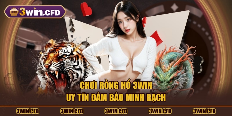 Chơi Rồng Hổ 3WIN uy tín đảm bảo minh bạch