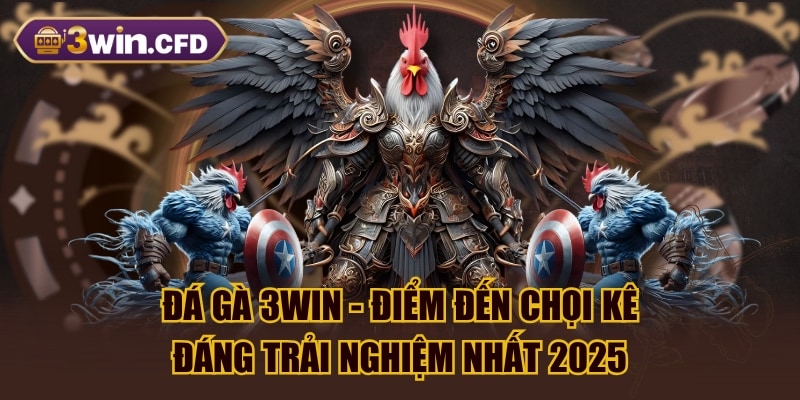 Đá Gà 3WIN - Điểm Đến Chọi Kê Đáng Trải Nghiệm Nhất 2025