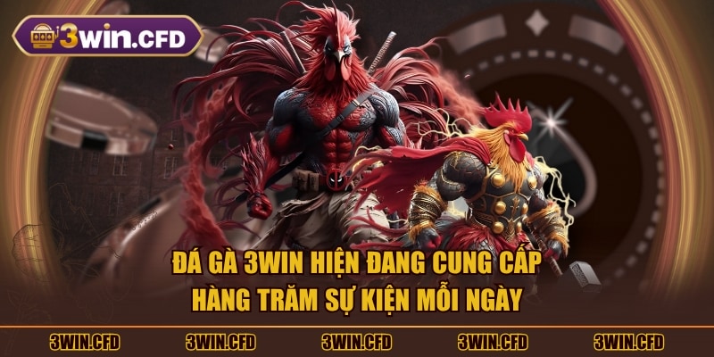 Đá Gà 3WIN hiện đang cung cấp hàng trăm sự kiện mỗi ngày