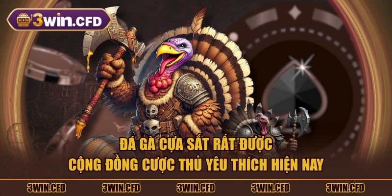 Đá gà cựa sắt rất được cộng đồng cược thủ yêu thích hiện nay