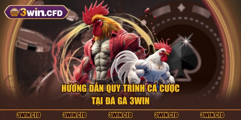 Hướng dẫn quy trình cá cược tại Đá Gà 3WIN