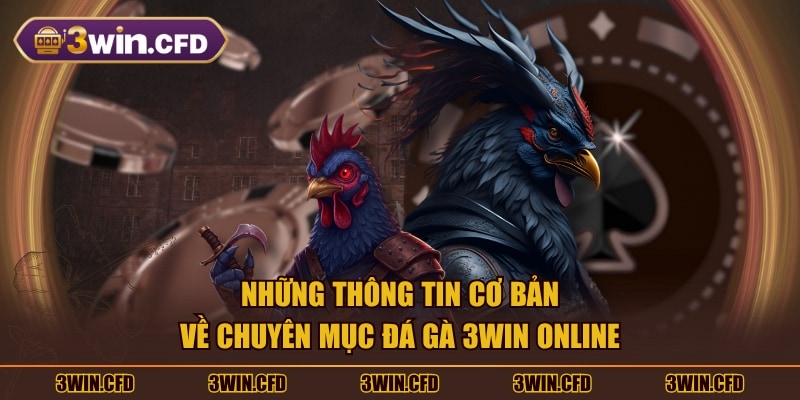 Những thông tin cơ bản về chuyên mục Đá Gà 3WIN online