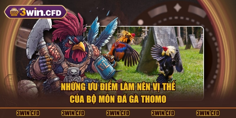 Những ưu điểm làm nên vị thế của bộ môn đá gà Thomo