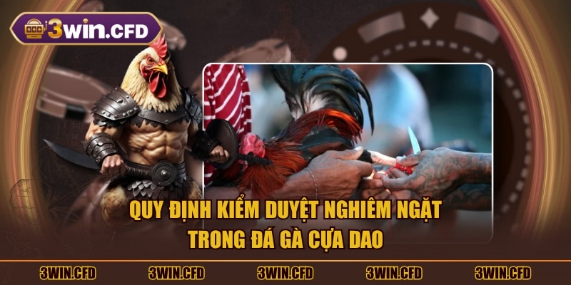 Quy định kiểm duyệt nghiêm ngặt trong đá gà cựa dao