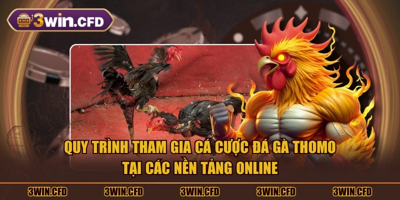 Quy trình tham gia cá cược đá gà Thomo tại các nền tảng online