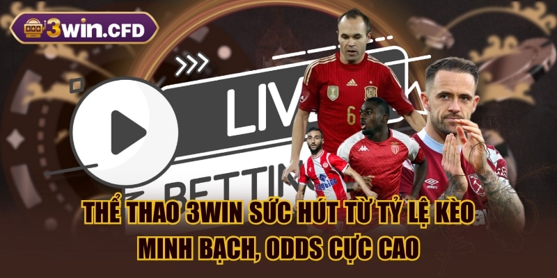 Thể Thao 3WIN Sức Hút Từ Tỷ Lệ Kèo Minh Bạch, Odds Cực Cao