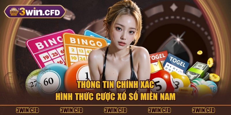 Thông tin chính xác hình thức cược xổ số miền Nam